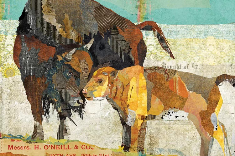 Bison Son
