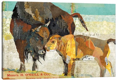 Bison Son Canvas Art Print - Bison & Buffalo Art