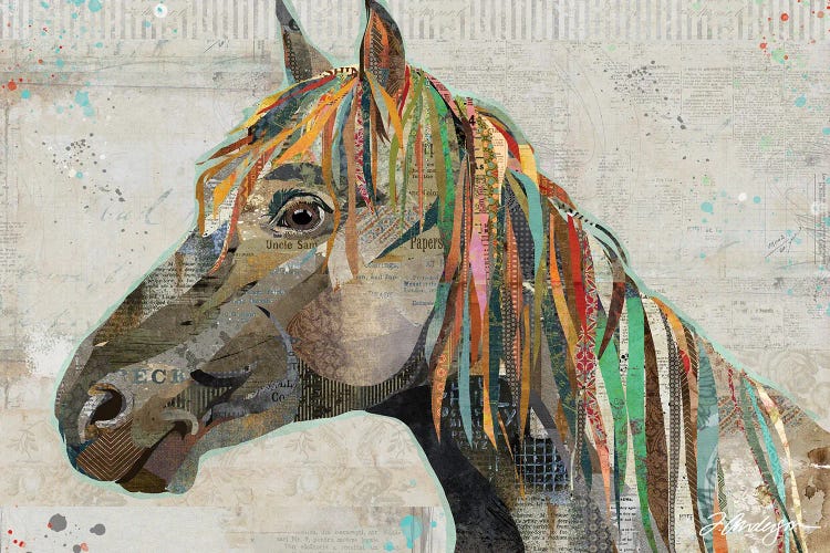 Pryor Mountain Wild Stallion by Traci Anderson wall art