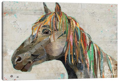 Pryor Mountain Wild Stallion Canvas Art Print - Traci Anderson