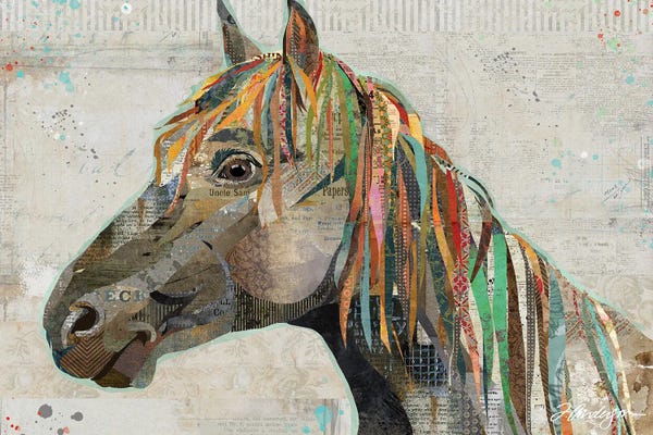 Traci Anderson: Pryor Mountain Wild Stallion by Traci Anderson