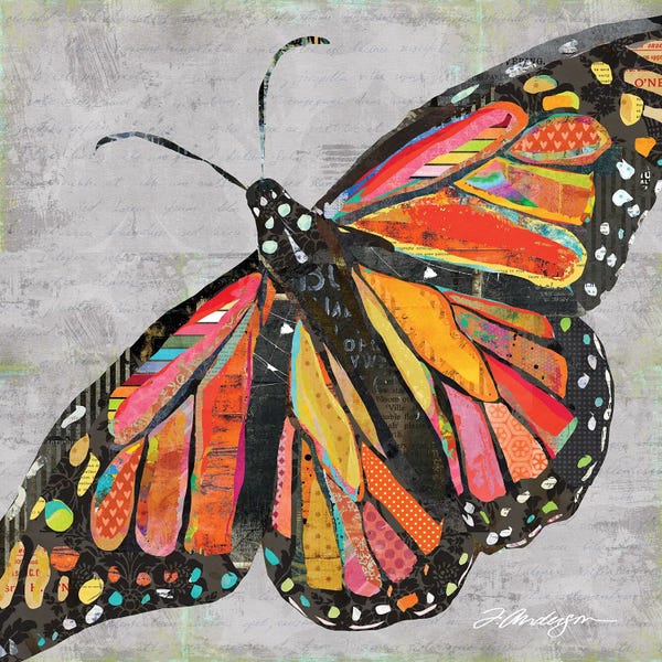 Traci Anderson: But What If I Fly? by Traci Anderson