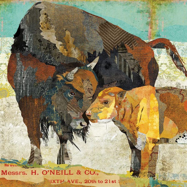 Traci Anderson: Bison And Calf by Traci Anderson