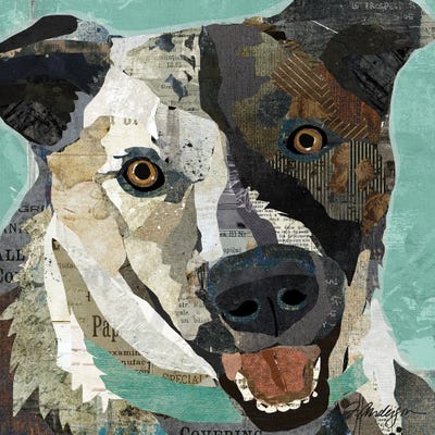 Rescued I by Traci Anderson framed wall art