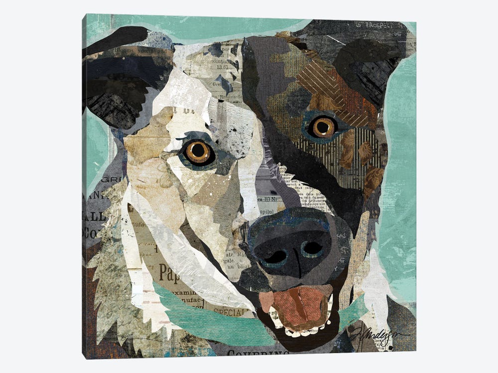 Rescued I by Traci Anderson 1-piece Art Print