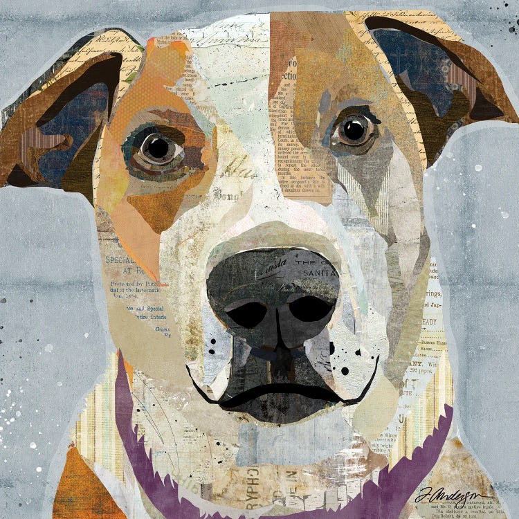 Rescued II by Traci Anderson wall art