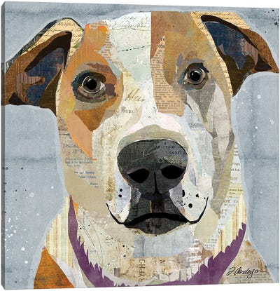 Rescued II Canvas Art Print - Rescue Dog Art