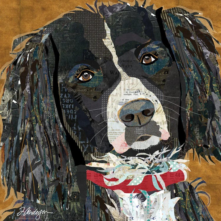 Springer Spaniel Collaged by Traci Anderson wall art