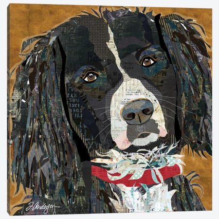 Springer Spaniel Collaged Canvas Print #TRA199} by Traci Anderson Canvas Art Print