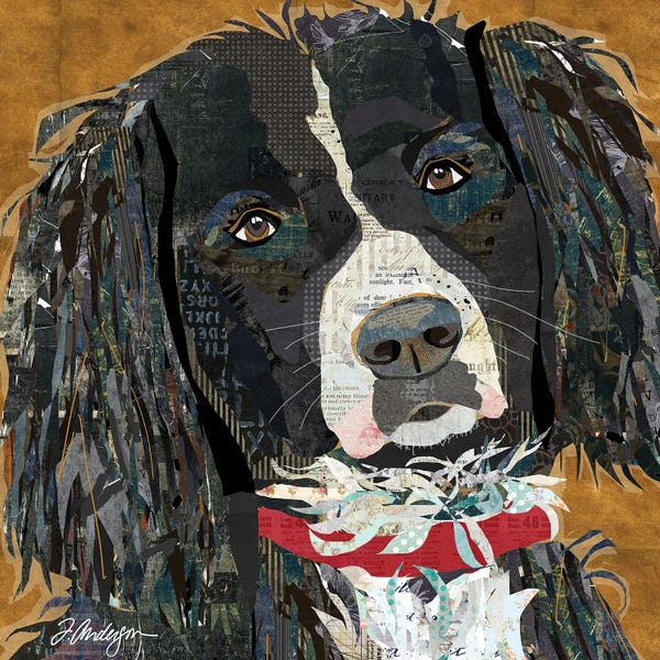 Traci Anderson: Springer Spaniel Collaged by Traci Anderson