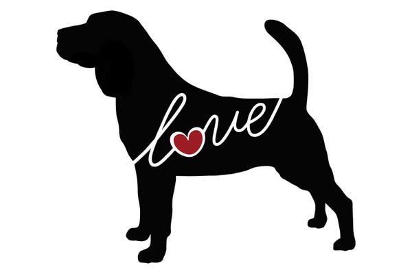 Traci Anderson: Bloodhound by Traci Anderson