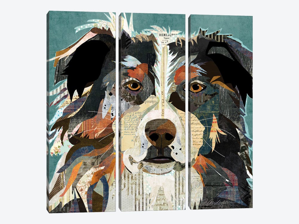 Aussi by Traci Anderson 3-piece Canvas Art