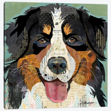 Bernese Canvas Print #TRA202} by Traci Anderson Canvas Art Print