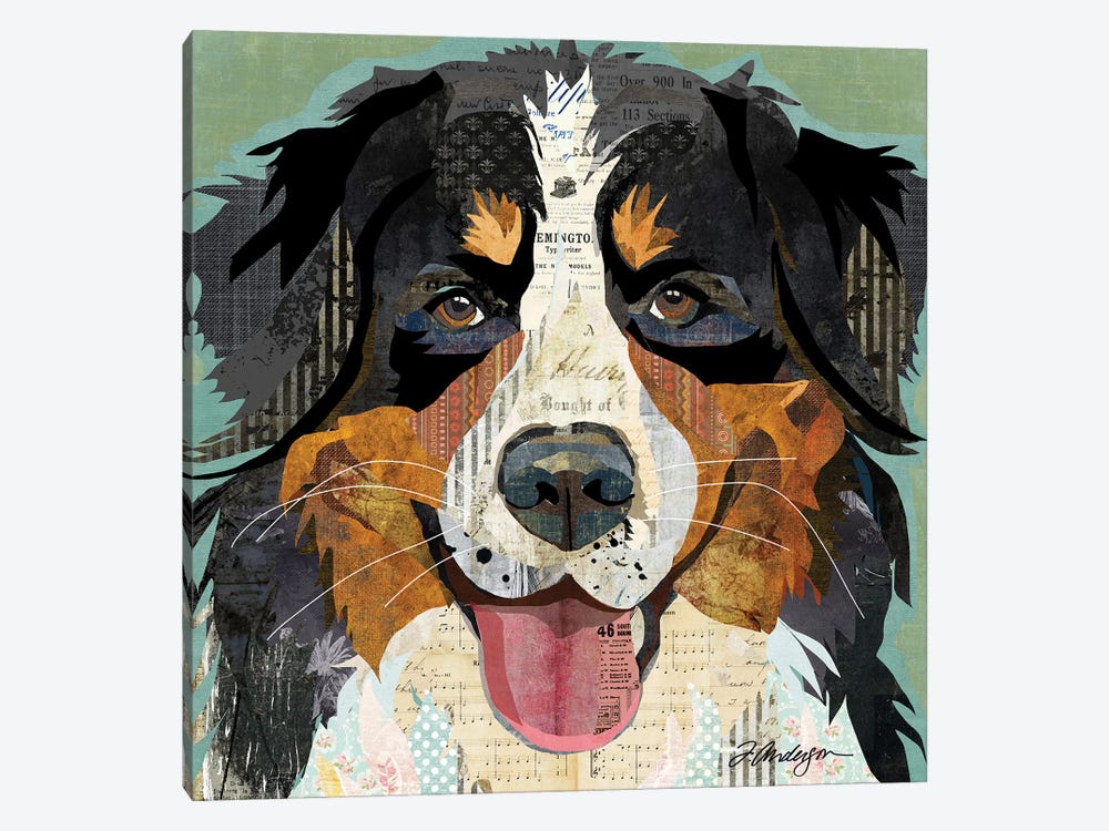 Bernese by Traci Anderson 1-piece Canvas Print