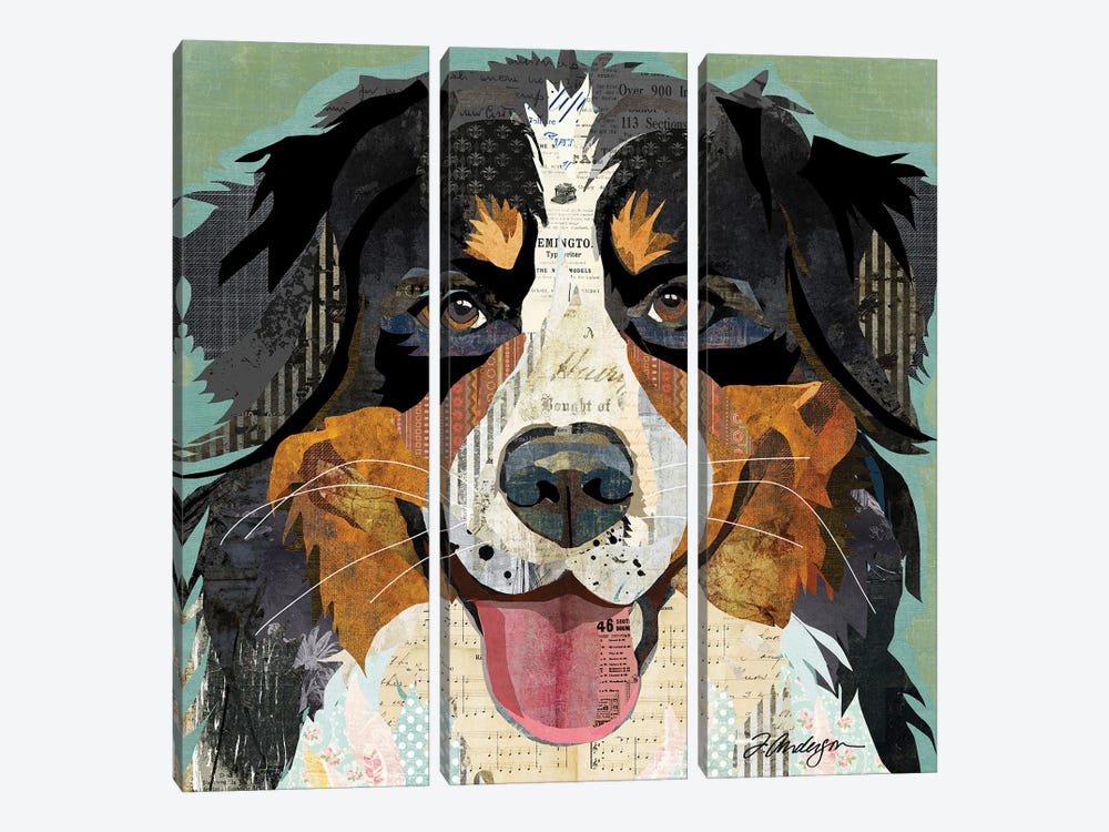 Bernese by Traci Anderson 3-piece Canvas Print