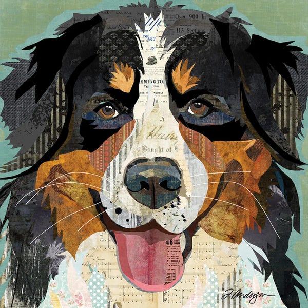 Traci Anderson: Bernese by Traci Anderson