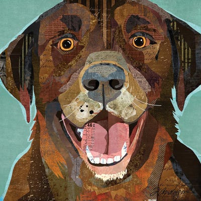 Chocolate Lab by Traci Anderson framed wall art