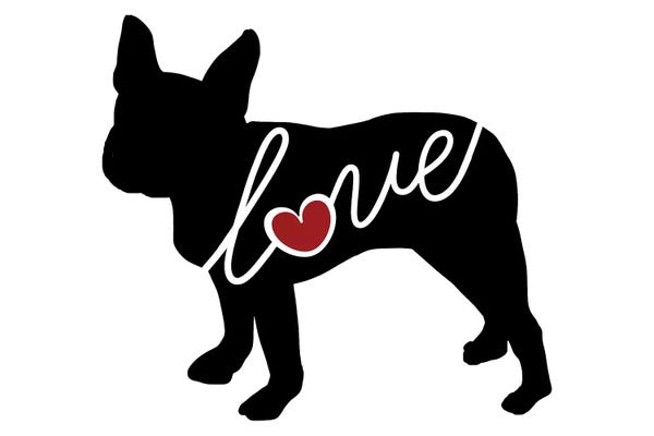 Traci Anderson: Boston Terrier by Traci Anderson
