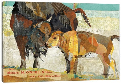 Bison and Baby Canvas Art Print - Traci Anderson
