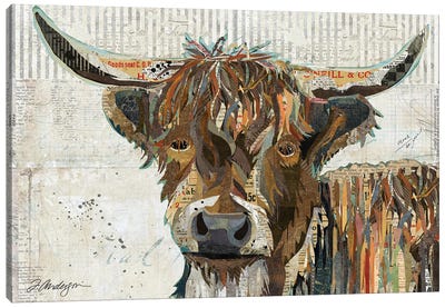 Highland Cow Canvas Art Print - Traci Anderson