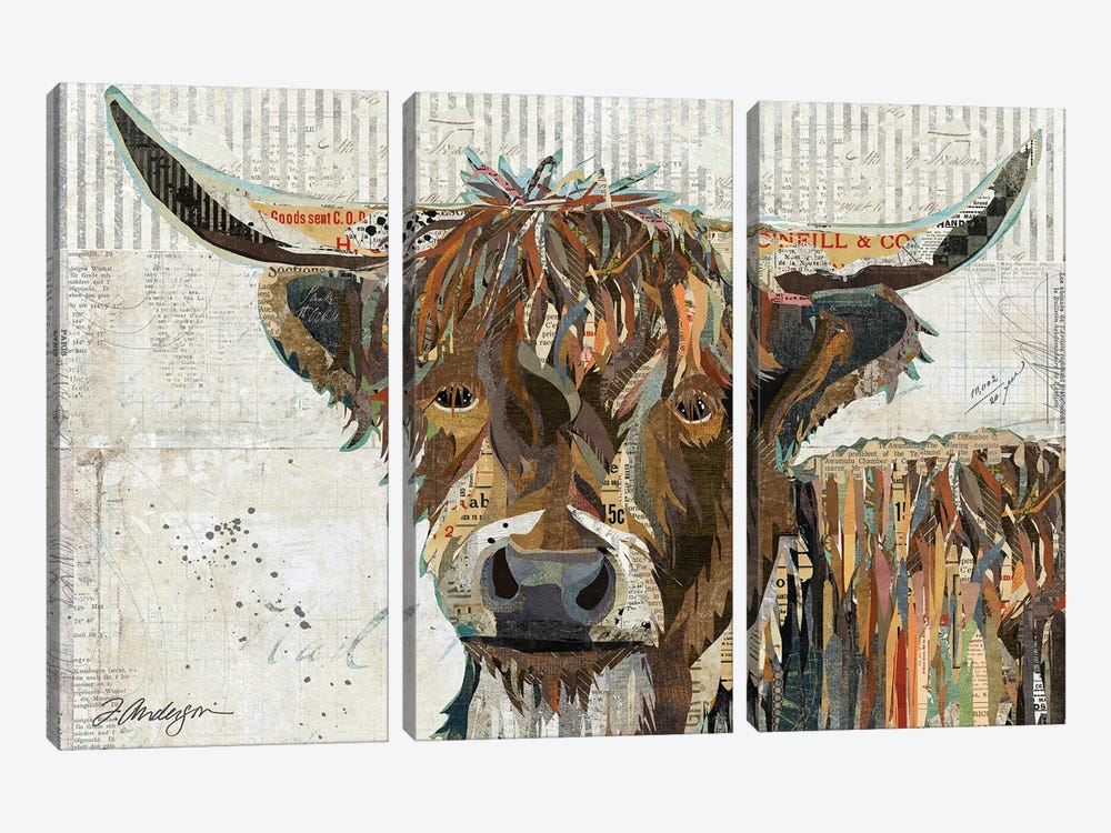 Highland Cow by Traci Anderson 3-piece Canvas Wall Art