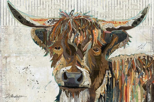 Traci Anderson: Highland Cow by Traci Anderson