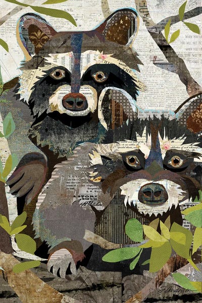 Raccoons by Traci Anderson framed wall art