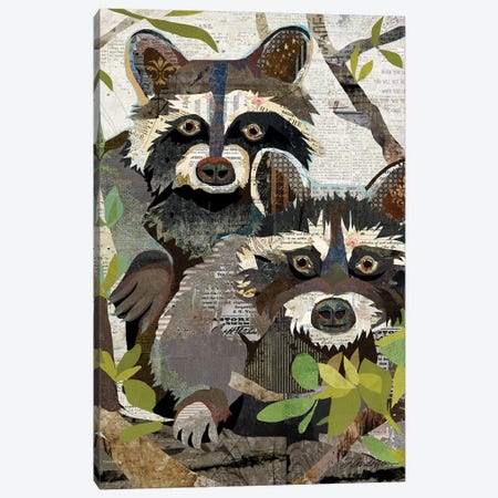 Raccoons Canvas Print #TRA216} by Traci Anderson Canvas Art Print