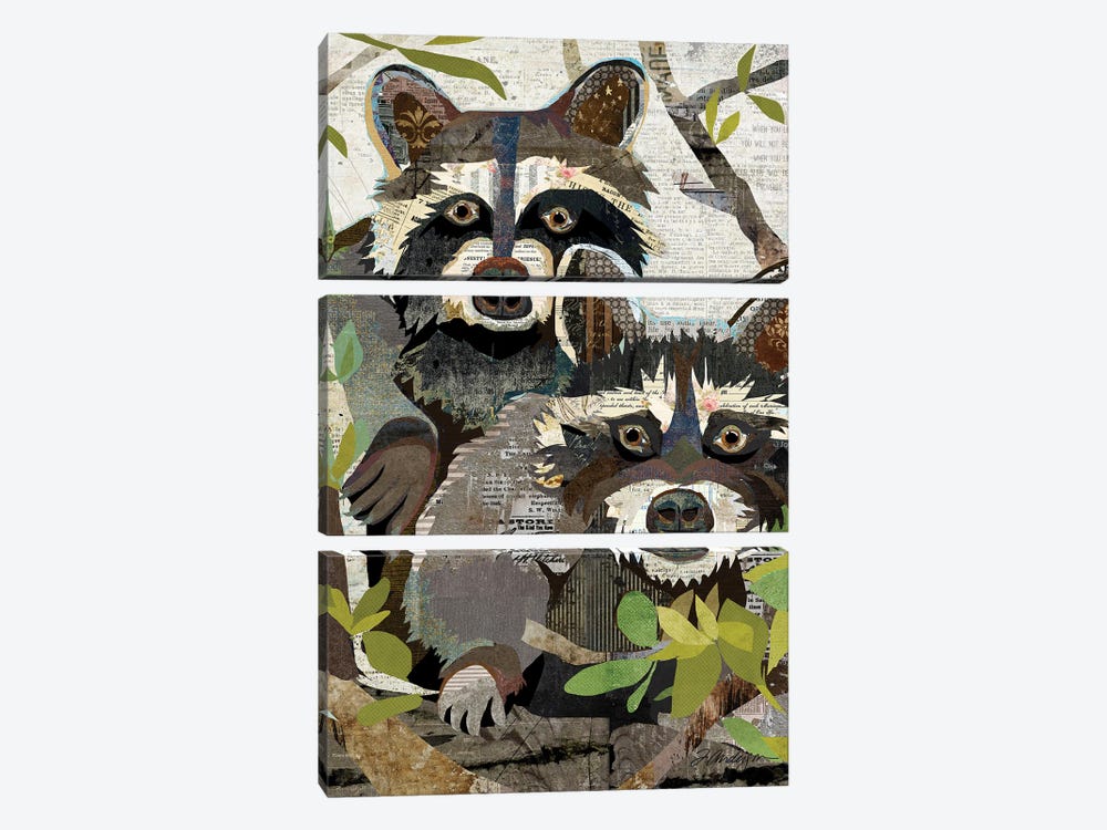 Raccoons by Traci Anderson 3-piece Canvas Wall Art