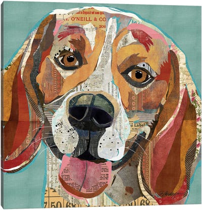 Beagle II Canvas Art Print - Traci Anderson