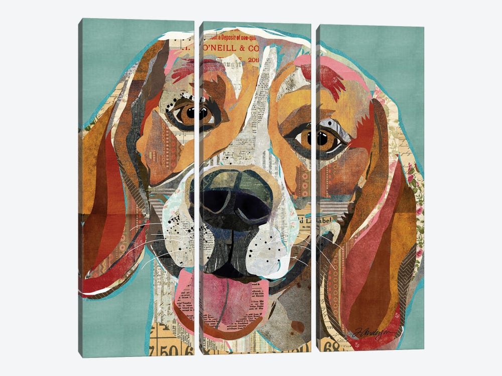 Beagle II by Traci Anderson 3-piece Art Print