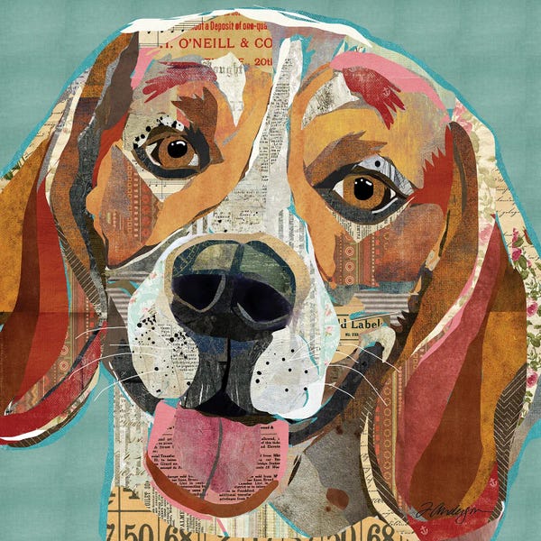 Traci Anderson: Beagle II by Traci Anderson