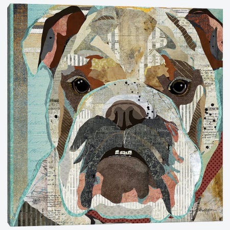 English Bulldog II Canvas Print #TRA219} by Traci Anderson Canvas Artwork