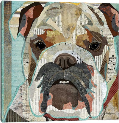 English Bulldog II Canvas Art Print - Traci Anderson