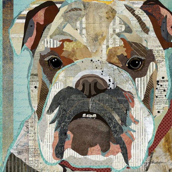 Traci Anderson: English Bulldog II by Traci Anderson