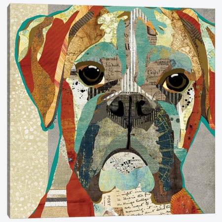 Boxer Canvas Print #TRA21} by Traci Anderson Canvas Art