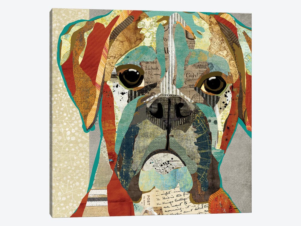 Boxer by Traci Anderson 1-piece Canvas Wall Art