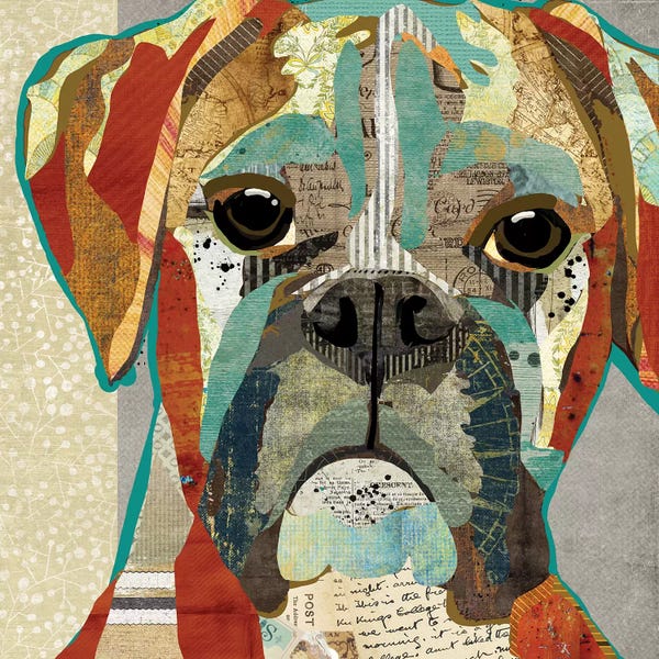 Traci Anderson: Boxer by Traci Anderson