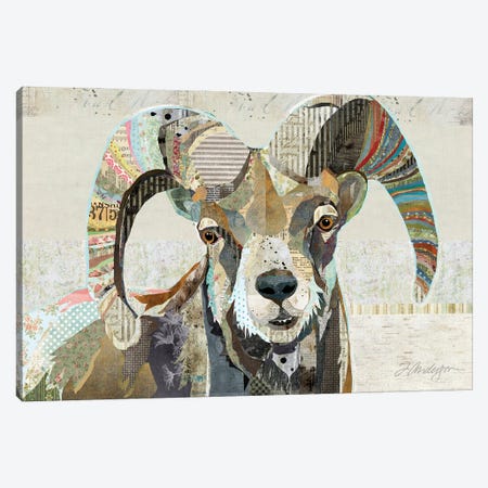 Wild Bighorn Sheep II Canvas Print #TRA220} by Traci Anderson Canvas Print