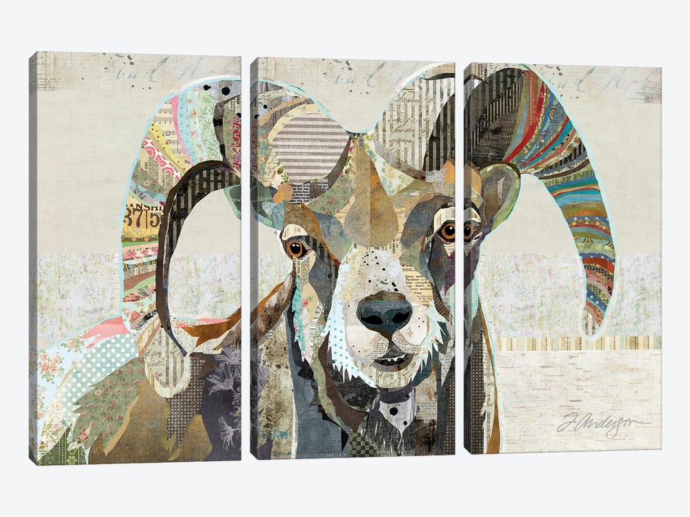 Wild Bighorn Sheep II 3-piece Canvas Art Print