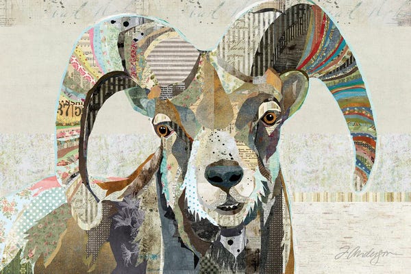 Traci Anderson: Wild Bighorn Sheep II by Traci Anderson