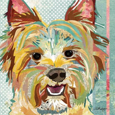 Yorkie II by Traci Anderson metal wall art