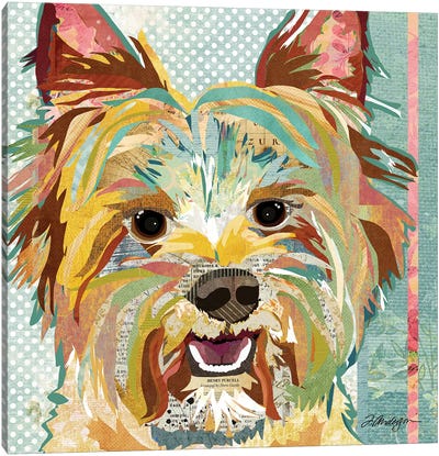 Yorkie II Canvas Art Print - Terriers