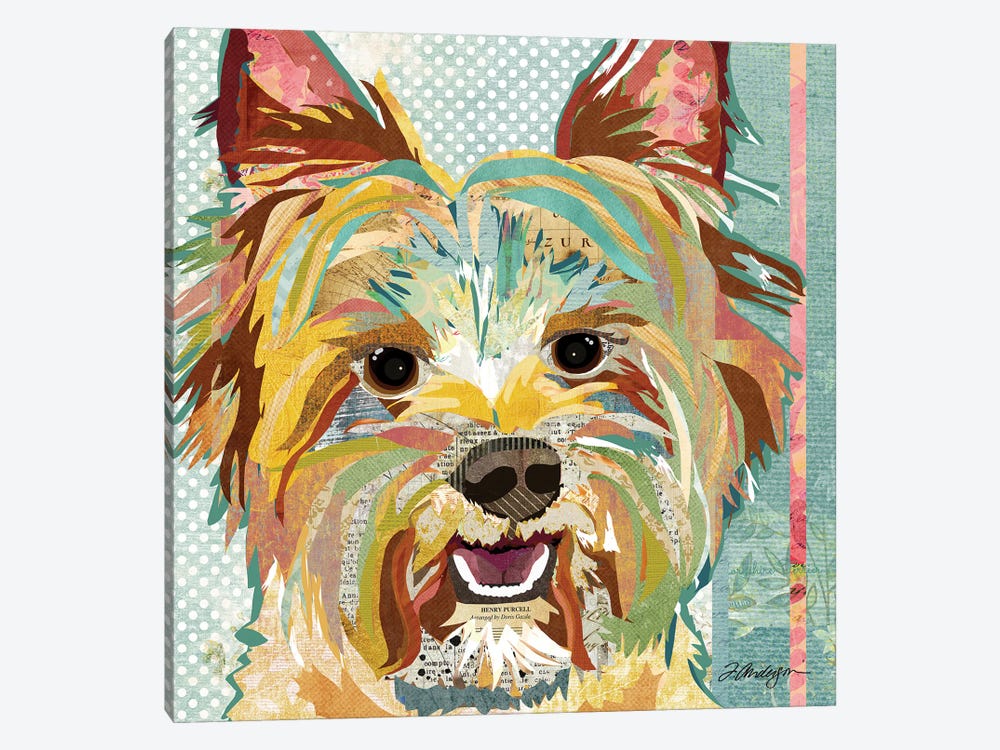 Yorkie II by Traci Anderson 1-piece Canvas Wall Art