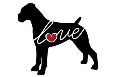 Boxer Uncropped by Traci Anderson acrylic art print