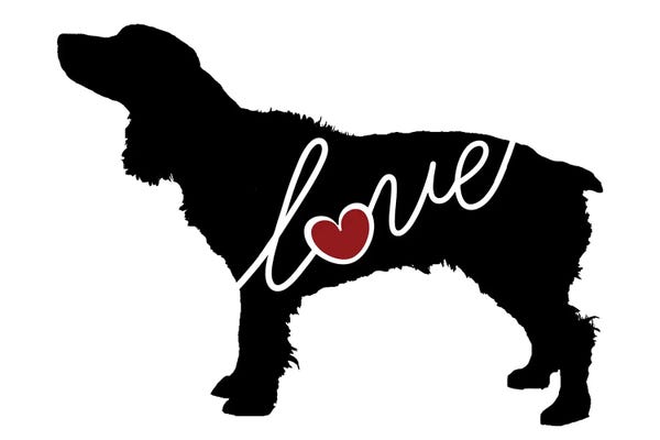 Traci Anderson: Boykin Spaniel by Traci Anderson