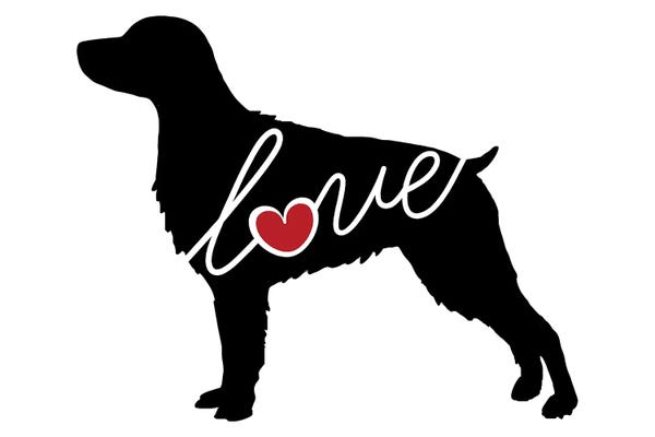 Spaniels: Brittany Spaniel by Traci Anderson