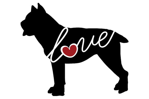 Traci Anderson: Cane Corso by Traci Anderson