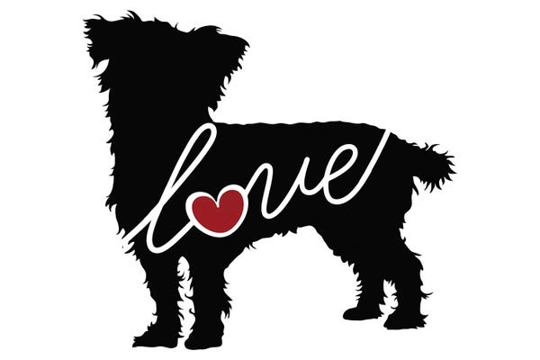 Traci Anderson: Cairn Terrier Mix by Traci Anderson