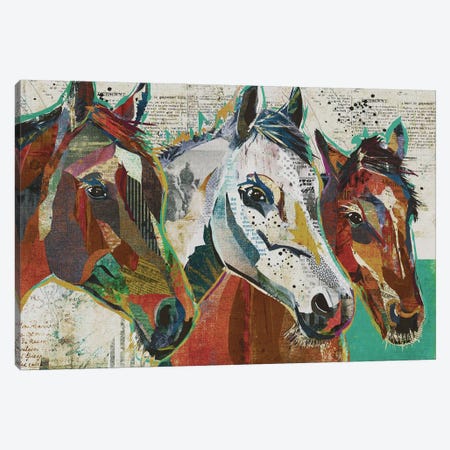3 Horses Canvas Print #TRA2} by Traci Anderson Canvas Artwork